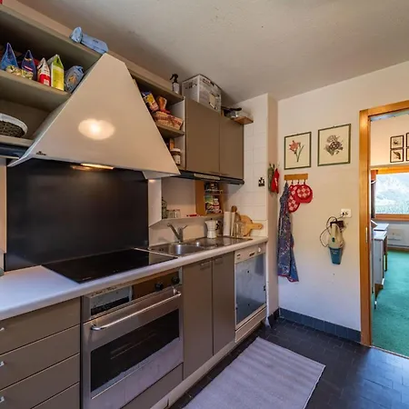 Chesa La Drosa - Celerina Apartment *